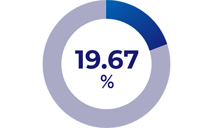 19.67%[円グラフ]